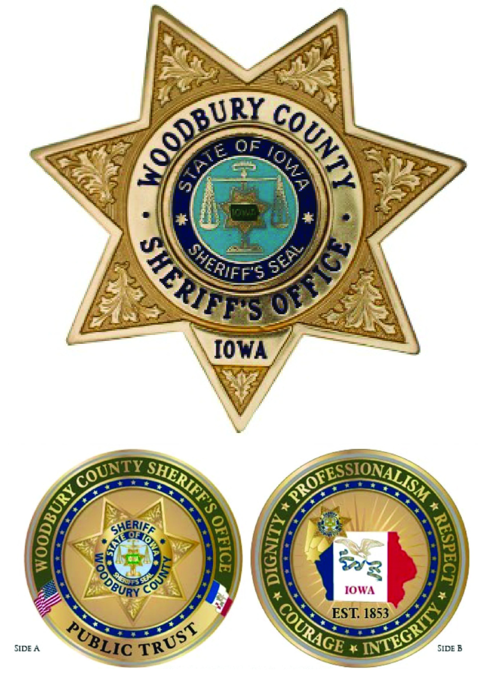 Sheriff Badge and Public Trust Coin
